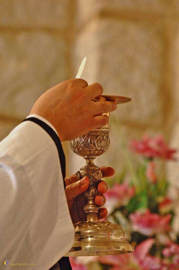 Nom de l'image : D2157827_1_(c)Norbert-JUNG — Description :